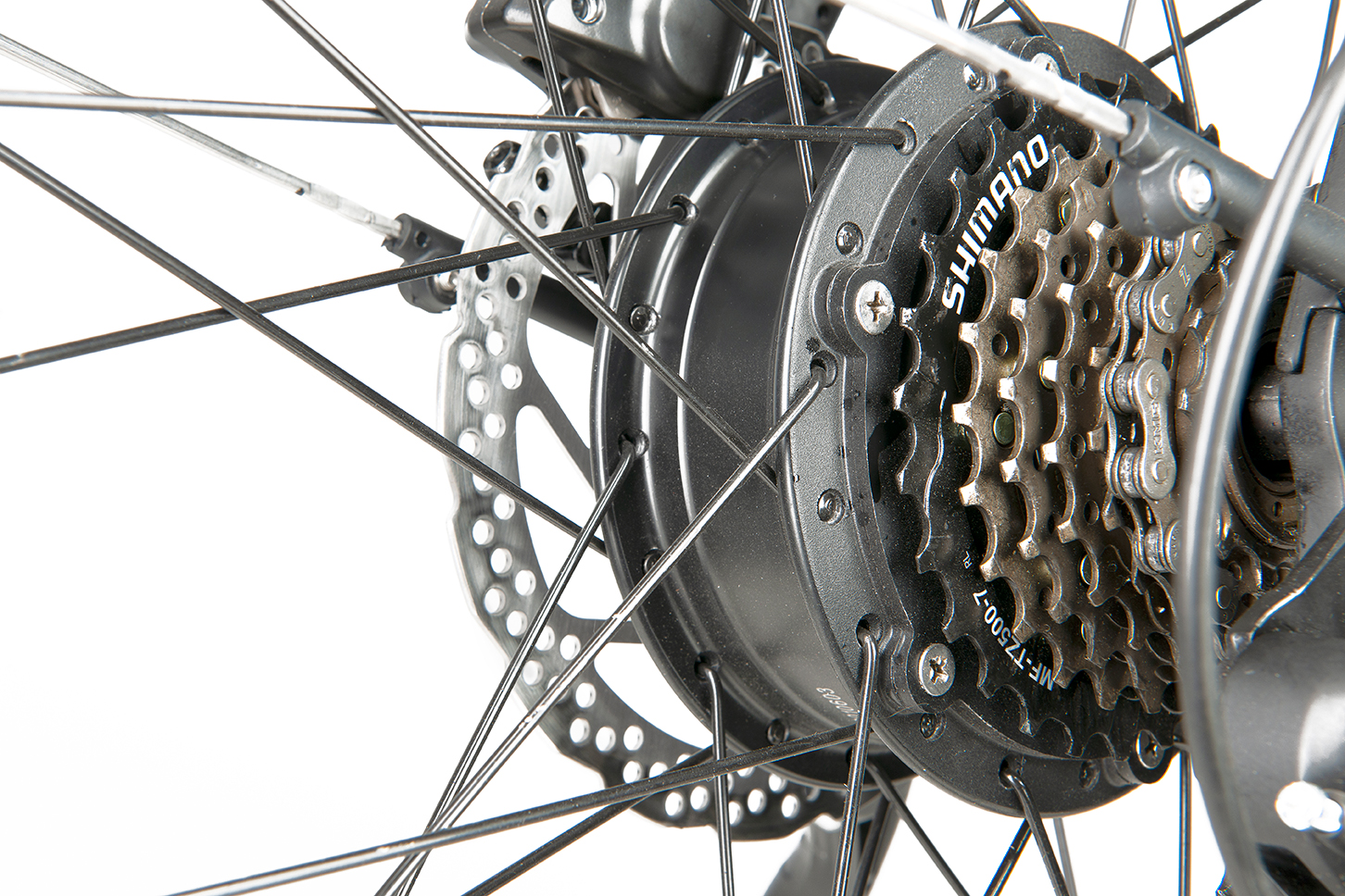 Ostrichoo Zeno Ostrichoo Zeno – Bild 4