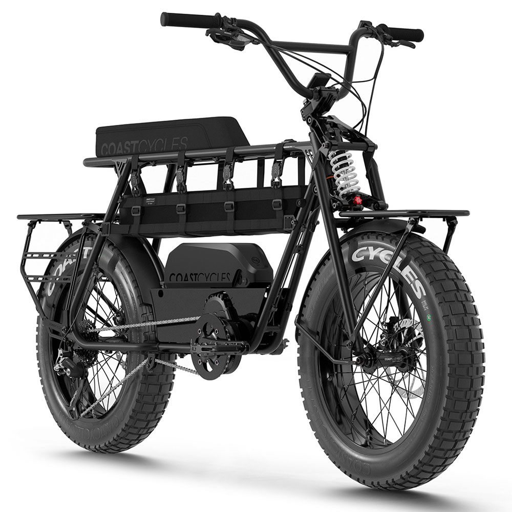 Coast Cycles Buzzraw PRO Coast Cycles Buzzraw PRO – Bild 3