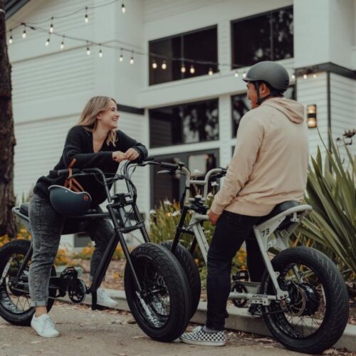 Elektrisches Fatbike