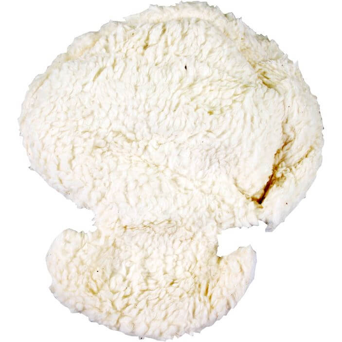 Melia Head Reducer Plus 0-9 Months Sheep Melia Head Reducer Plus 0-9 Months Sheep